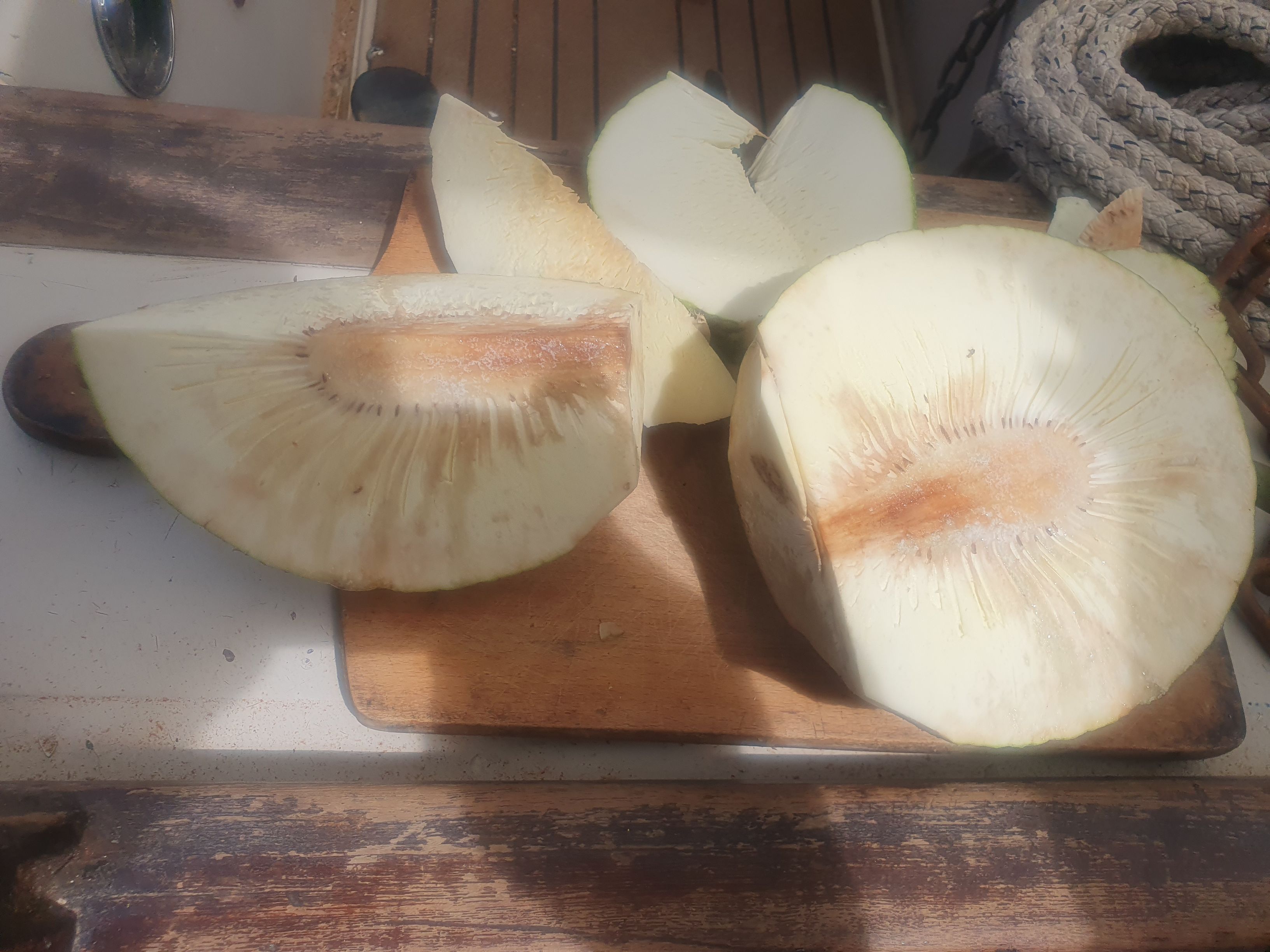 Owoc drzewa chlebowego